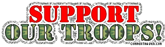 Support Our Troops picture