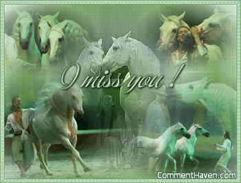 Horses Miss You picture for facebook
