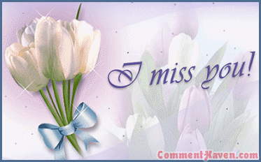 Miss You picture