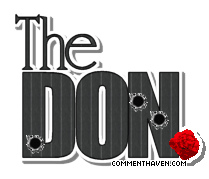 The Don picture