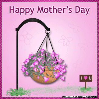 Pink Flowers picture