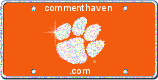 Clemson picture