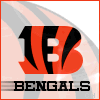 Nfl Bengals picture