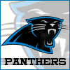 Nfl Panthers picture