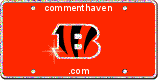 Bengals picture