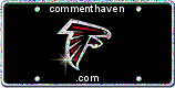 Falcons picture