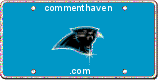 Panthers picture