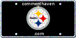 Steelers picture