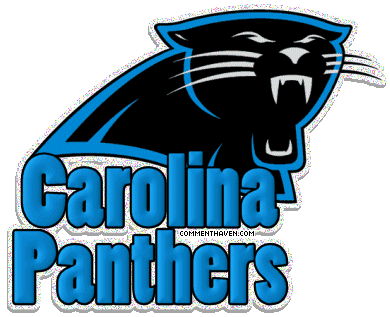 Carolina Panthers picture