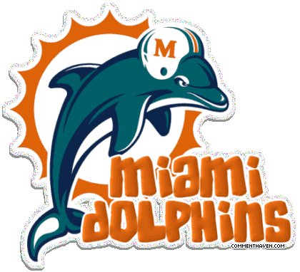 Miami Dolphins picture