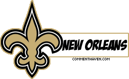 Nfl Saints picture