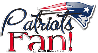 Patriots Fan picture