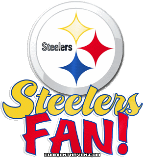 Steelers Fan picture