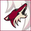 Nhl Coyotes picture