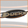 Nhl Ducks picture