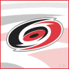 Nhl Hurricanes picture