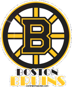 Nhl Bruins picture