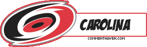 Nhl Carolina picture