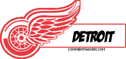 Nhl Detroit picture