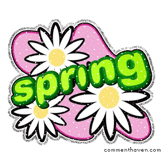 Spring picture