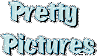 Pretty Pictures picture