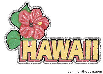 Hawaii picture