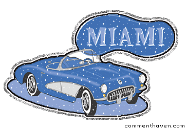 Miami picture
