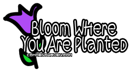 Bloom picture for facebook