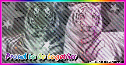 Proud Together picture