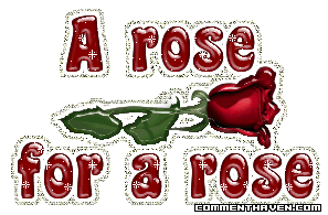 A Rose Is A Rose picture for facebook