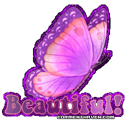 Beautiful Butterfly V picture for facebook