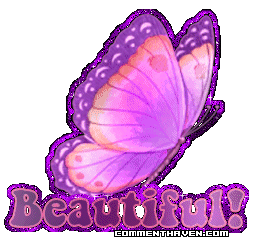 Beautiful Butterfly V picture