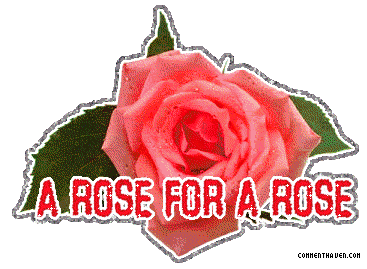 Rose picture for facebook