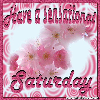 Saturday Ch picture