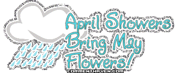 Spring picture