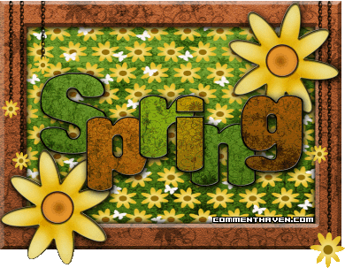 Spring I picture