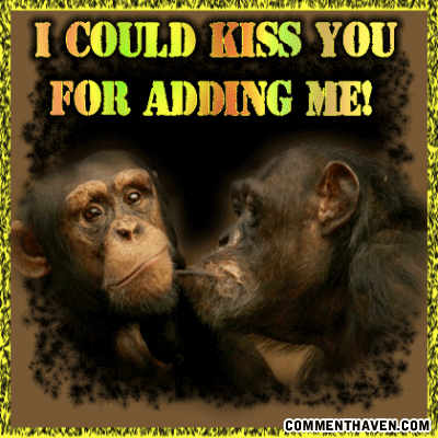 Ta Monkeys Kiss picture