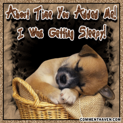 Ta Puppy Sleepi picture for facebook