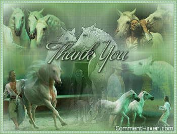 Horses Thankyou picture for facebook