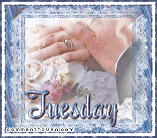 Tues picture