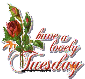 Tues picture