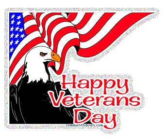 Eagle Veterans Day picture for facebook