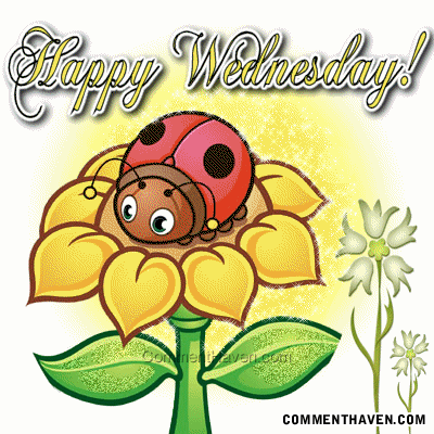 Wed picture