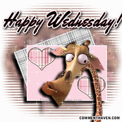 Wed picture