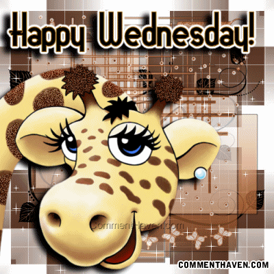 Wed picture