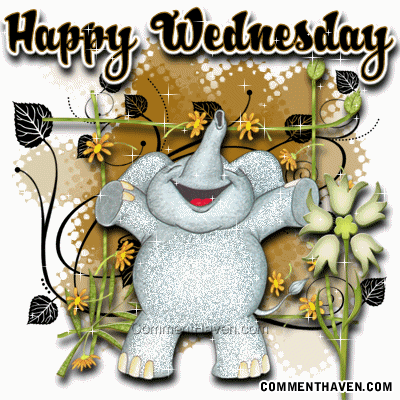 Wed picture