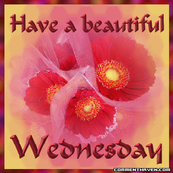 Wednesday Ch picture