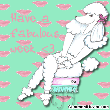 Poodle Fab Week picture for facebook