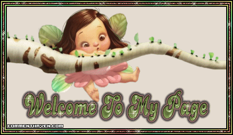Welcome To My Page Fairy Bugs picture for facebook