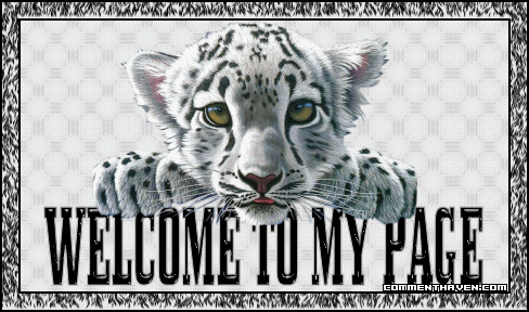 Welcome To My Page Tiger Baby picture for facebook